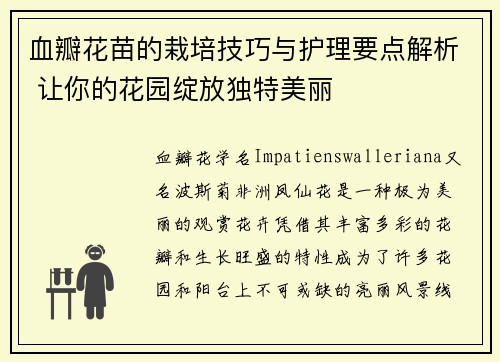 血瓣花苗的栽培技巧与护理要点解析 让你的花园绽放独特美丽 血瓣花苗的栽培技巧与护理要点解析 让你的花园绽放独特美丽